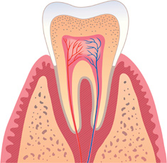 periodontics